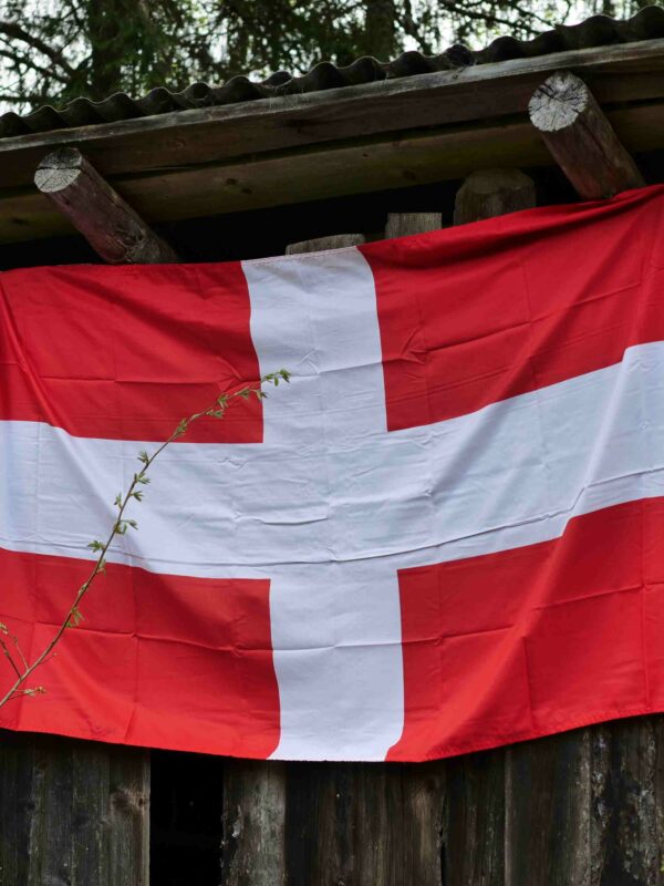 Drapeau Savoie 90 x 150