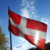 Drapeau-moyen-savoie-ou-rien---accessoire-pour-savoyards-et-hauts-savoyards
