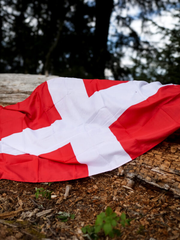 Drapeau de Savoie 150x90cm