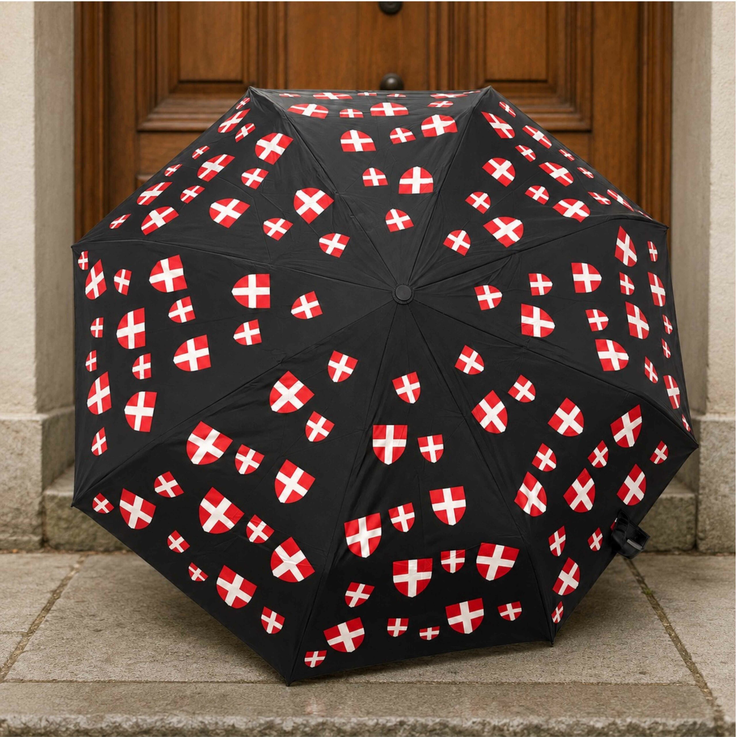 parapluie Savoie