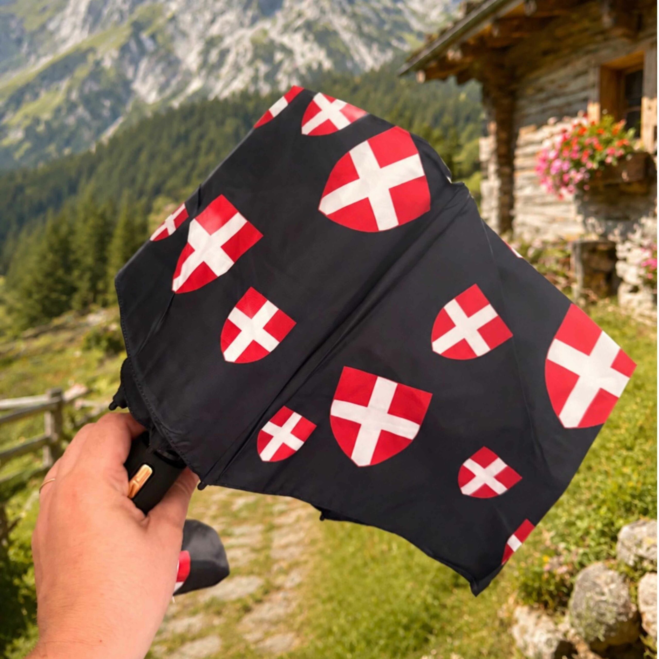 Parapluie Savoie – Image 3